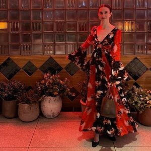 DVF Selena Chiffon Maxi Dress Dancers Diane Von Furstenberg 00